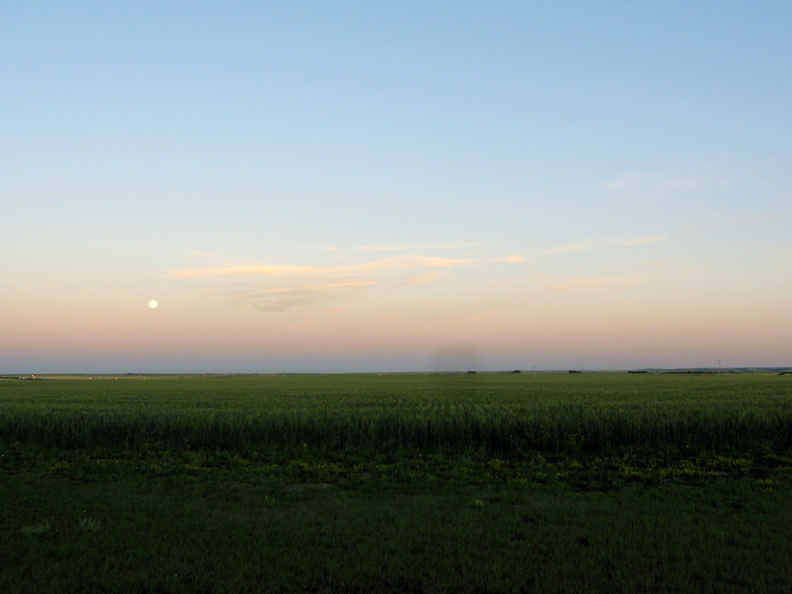 DSC06887.JPG